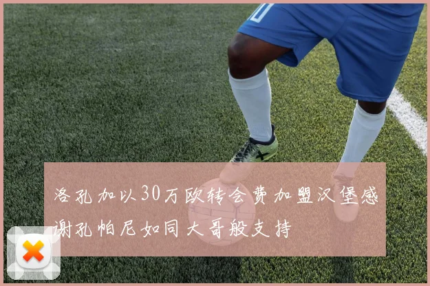 洛孔加以30万欧转会费加盟汉堡感谢孔帕尼如同大哥般支持