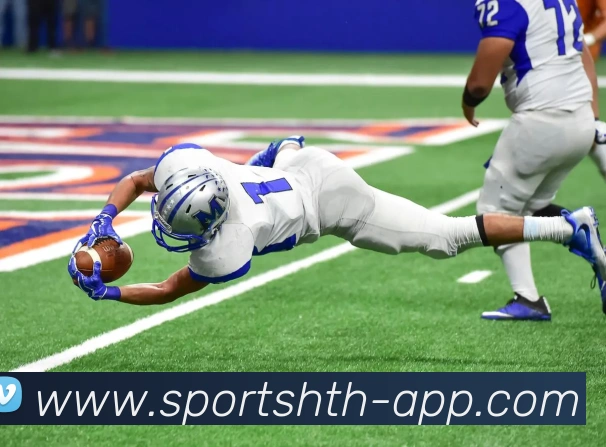 华体会体育APP 封面图